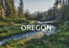 WITH LOVE FROM OREGON