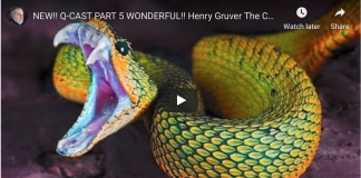 Part 5 Henry Gruver The Curse of Habu Island